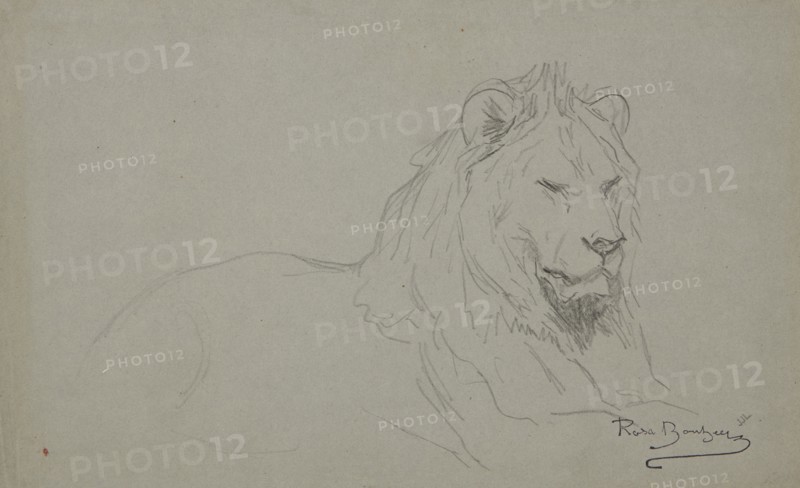 Study Of A Lion's Head, 1832-1899. Creator: Rosa Bonheur.