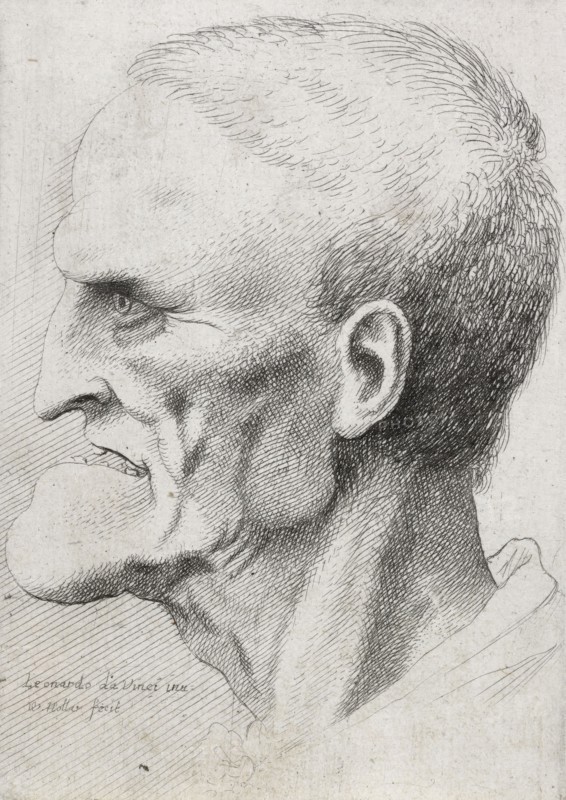 Caricatures and deformities after Leonardo. The old man with gaps between his teeth, c.1645. Creator: Wenceslaus Hollar.