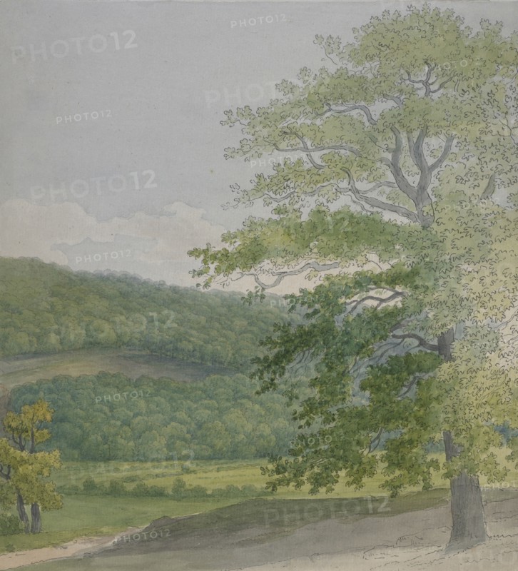 Wooded landscape, 1790s-1820s. Creator: John White Abbott.