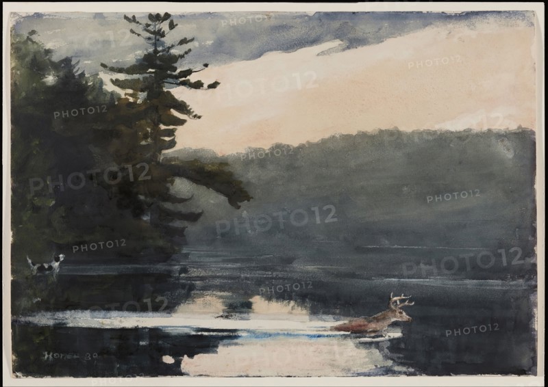 Deer in the Adirondacks, 1889. Creator: Winslow Homer.