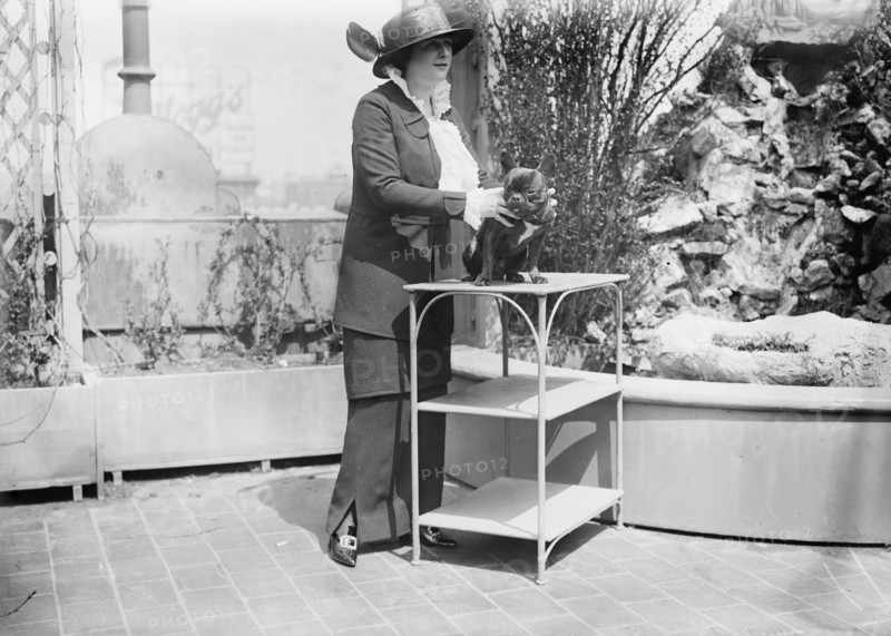 Mrs. Malcolm Strauss and pet, between c1910 and c1915. Creator: Bain News Service.