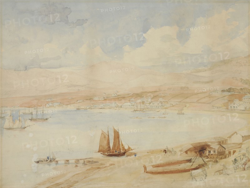 Wellington Harbour, N.Z., 1841. Creator: Charles Heaphy.