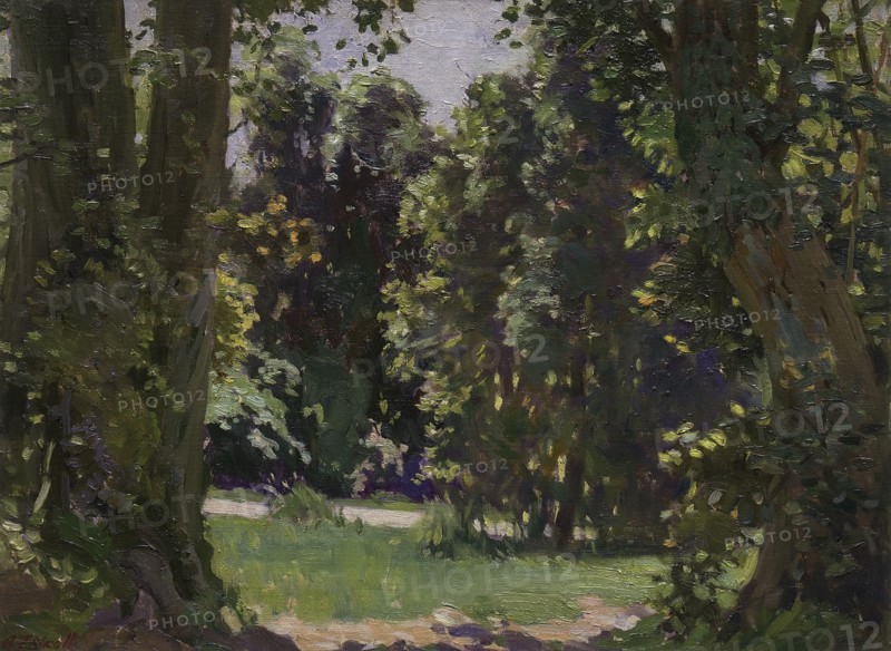 Peel Forest, c1920s. Creator: Archibald Frank Nicoll.