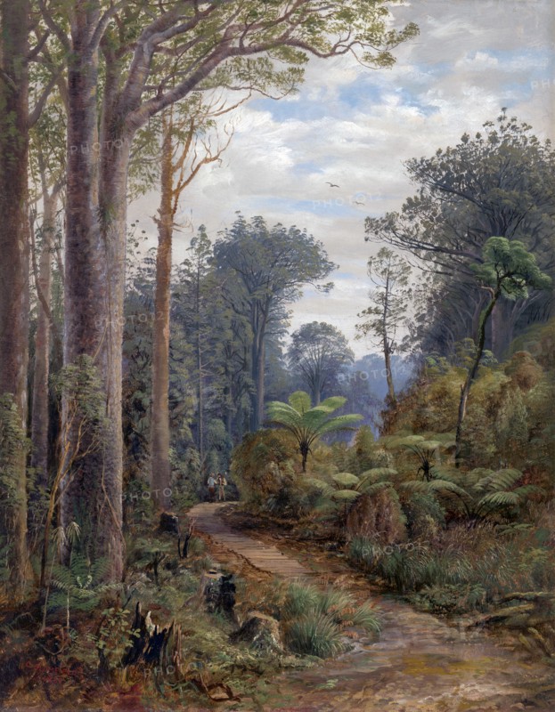 Among the kauris, Waitakeres, 1884. Creator: Charles Blomfield.