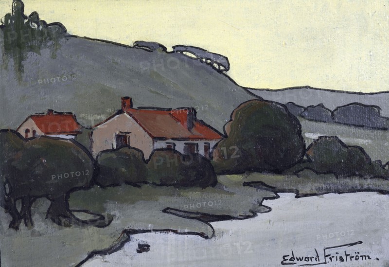 Homestead, Lake Wakatipu, Queenstown, no.2,  c1905. Creator: Clas Edvard Fristrom.