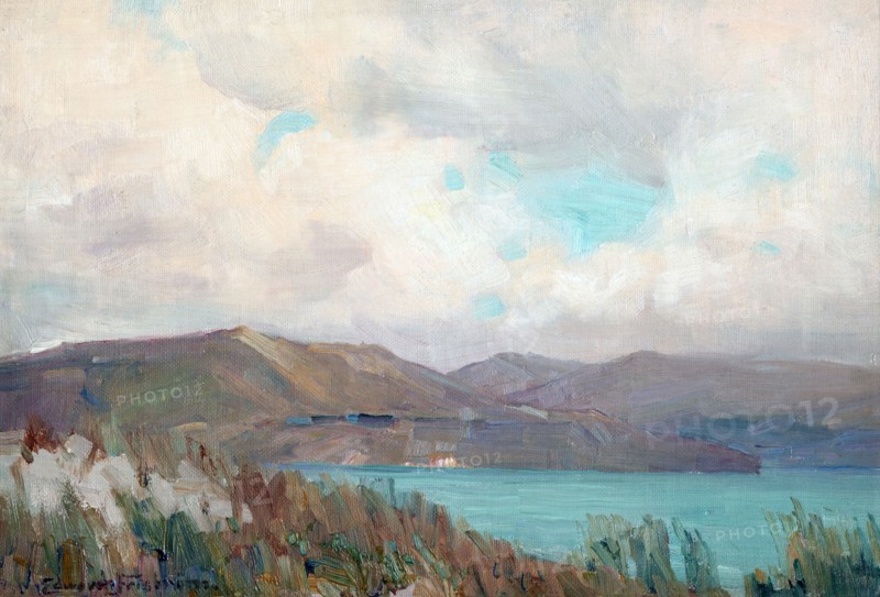 Wellington Harbour from Muritai,  c1910. Creator: Clas Edvard Fristrom.