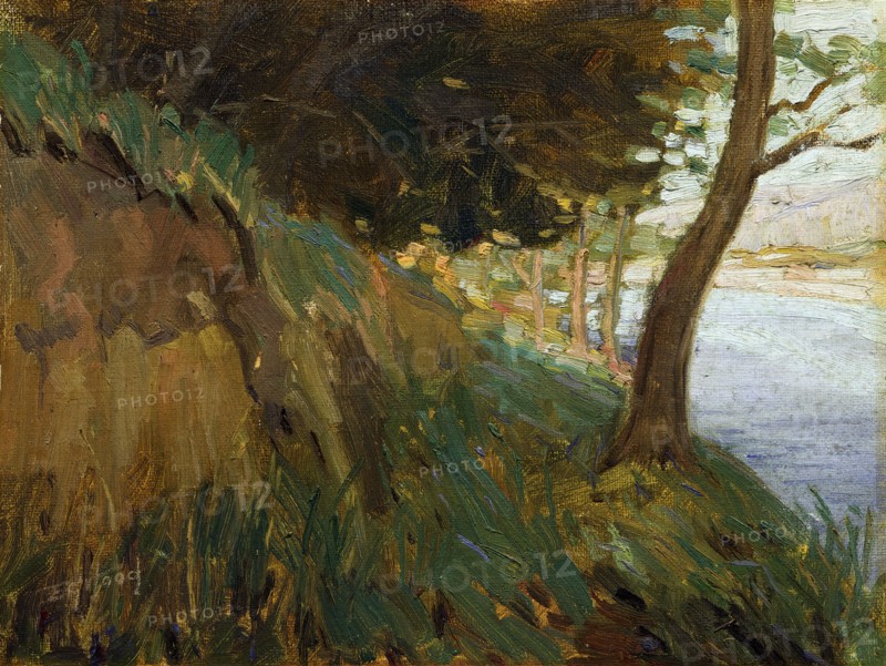 Glimpse of the Hutt River, Western Hutt, (c1910s). Creator: Ernest George Hood.