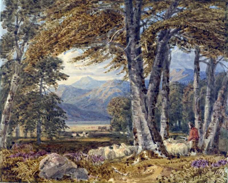 Landscape through trees,  1750-1780. Creator: George Barret Sr.