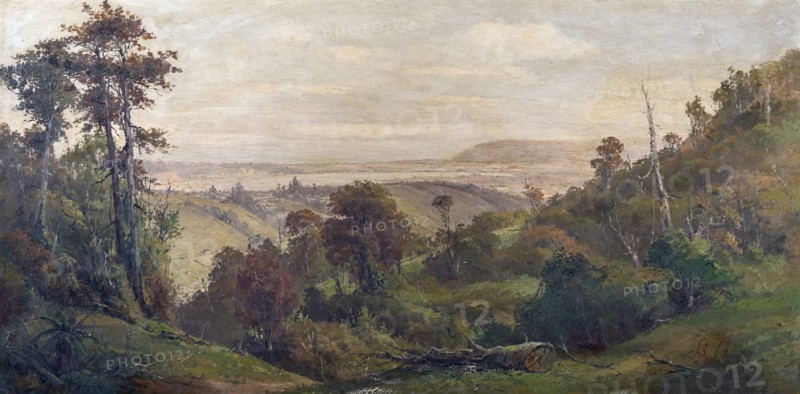 Dunedin from Pine Hill, c1900s. Creator: George William Carrington.