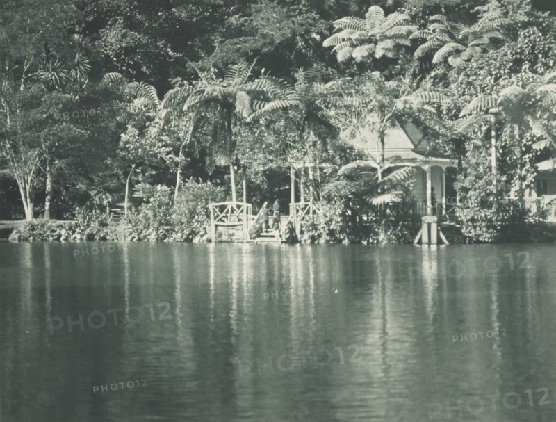 In the New Plymouth Recreation Grounds. From the album: Record Pictures of New Zealand, 1920s. Creator: Harry Moult.