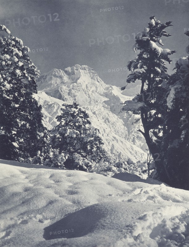 Mt Sefton, 10,350 ft., Mt Cook Disctrict. From the album: Record Pictures of New Zealand, 1920s. Creator: Harry Moult.