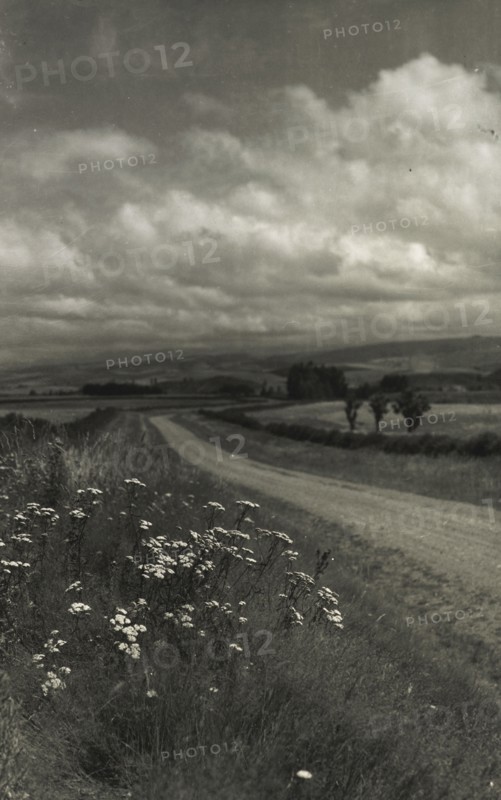 Near Ashburton, c1920-1946. Creator: Thelma Kent.