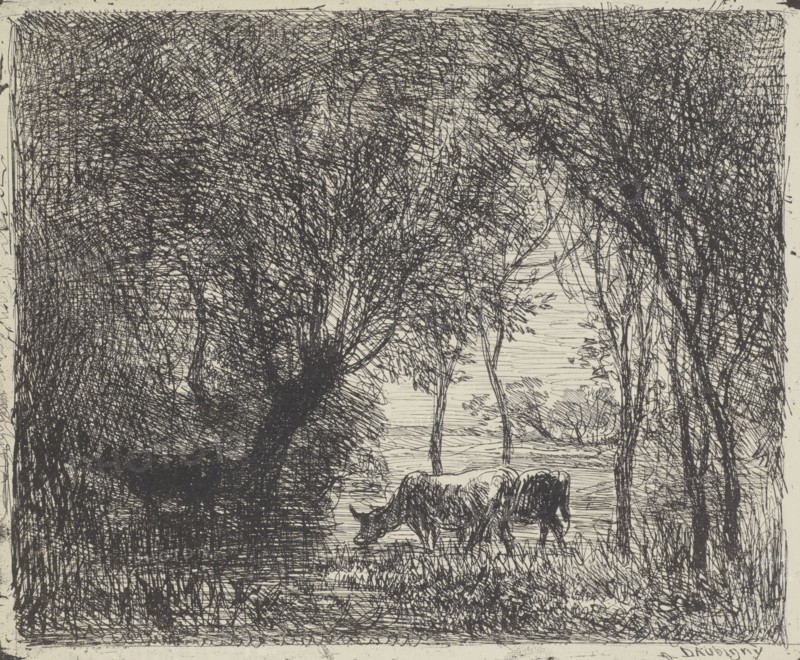 Cows in woods, 1862. Creator: Charles Francois Daubigny.