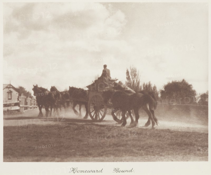 Homeward bound. From the album: Camera Pictures of New Zealand, 1920s. Creator: Harry Moult.