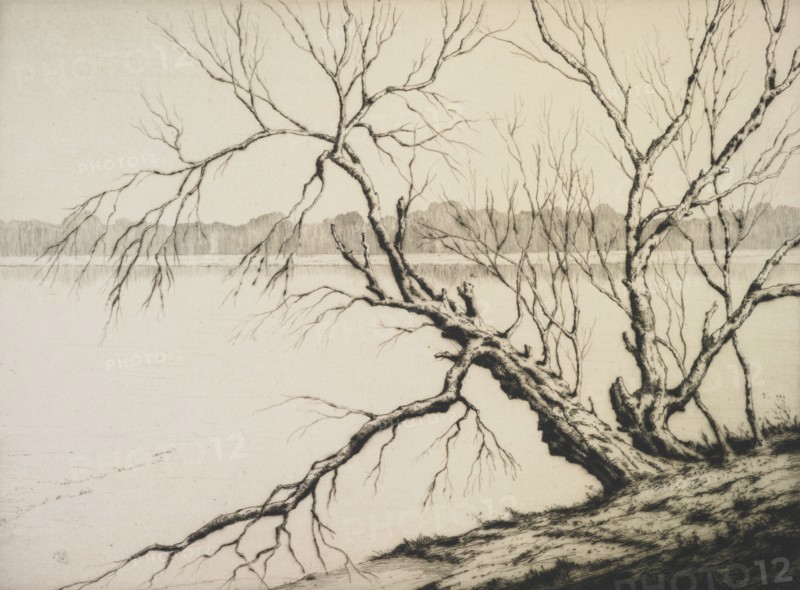The lake, 1941. Creator: Martin Hardie.