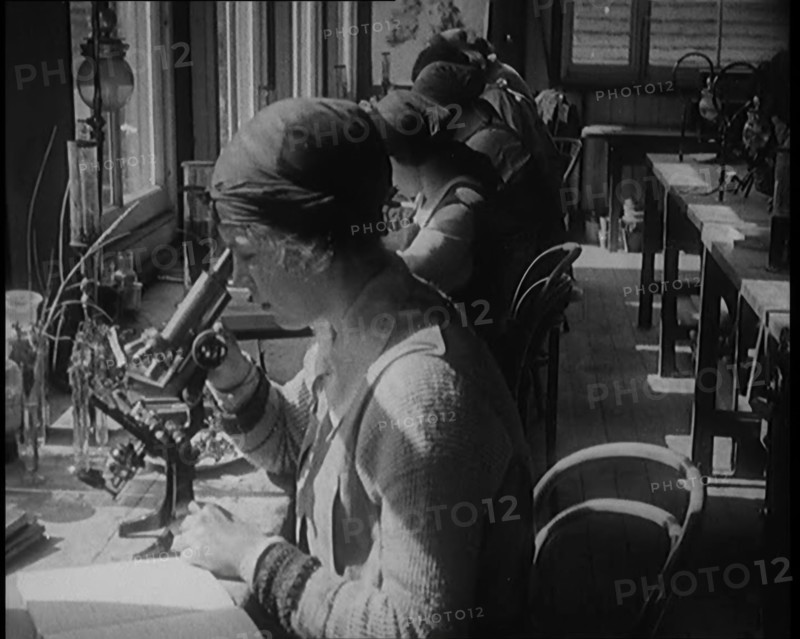 Young Female Civilians Sitting at Desks Looking Through Microscopes in a Science Class, 1920. Creator: British Pathe Ltd.