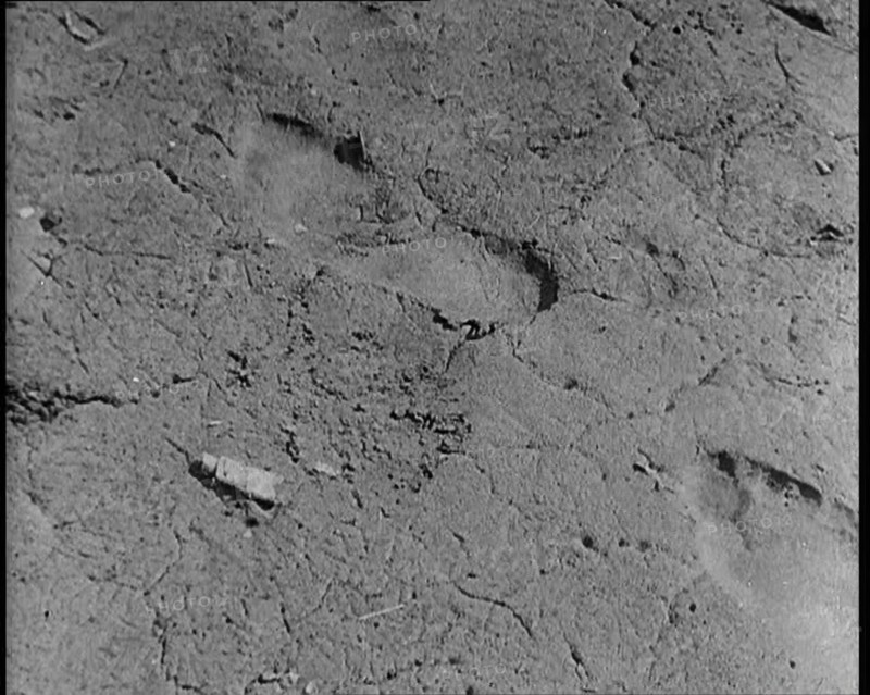 Footprint Outside American Aviator Charles Augustus Lindbergh's House During a Kidnapping..., 1930s. Creator: British Pathe Ltd.