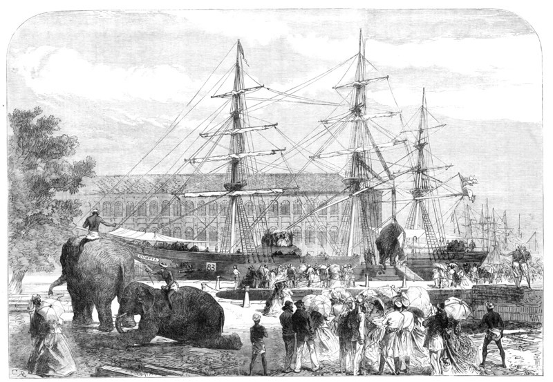 Embarking elephants at Bombay for the Abyssinian Expedition, 1868. Creator: C. R..