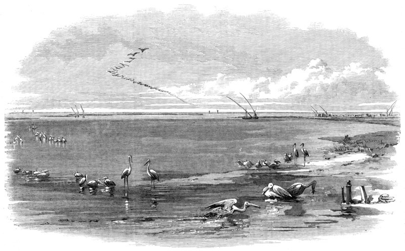 The Isthmus of Suez Maritime Canal: Lake Menzaleh, 1869. Creator: Unknown.