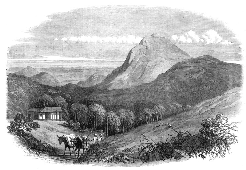 View of the Bay of Rio de Janeiro, from the Heights of the Emperor, near Petropolis, 1868. Creator: Unknown.
