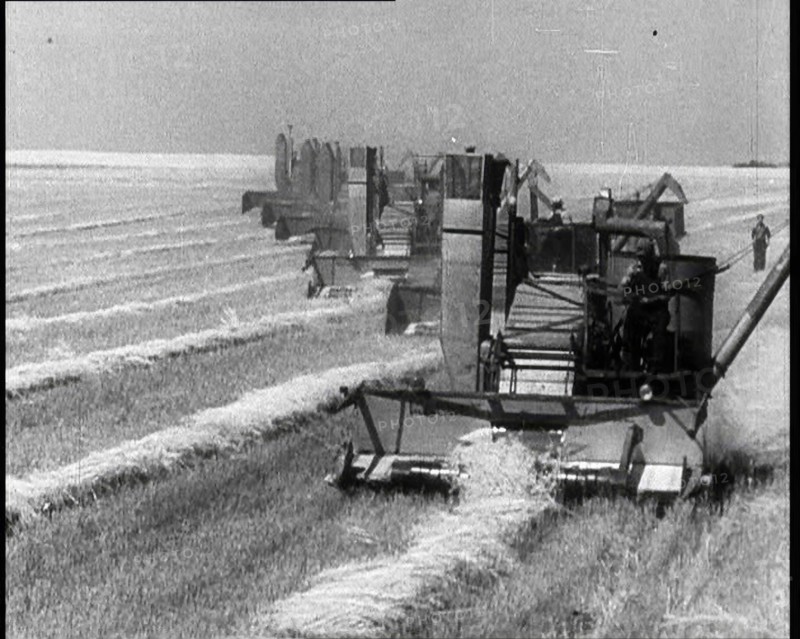 A Line of Tractors Harvesting Grain, 1932. Creator: British Pathe Ltd.