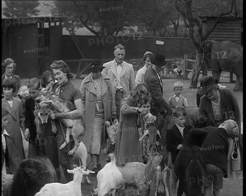 British People at the Zoo, 1940. Creator: British Pathe Ltd.
