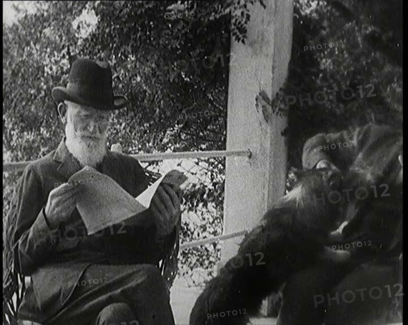 George Bernard Shaw and a Male Civilian Sitting in a Garden, 1920s. Creator: British Pathe Ltd.