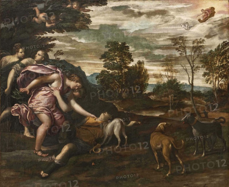 Venus Discovering the Dead Adonis, c1600. Creator: Scarsellino (Scarsella); Ippolito (1551-1620).