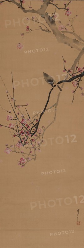 Japanese nightingale, on a red plum branch, 1910. Creator: Seitei (Shotei); Watanabe (1851-1918).