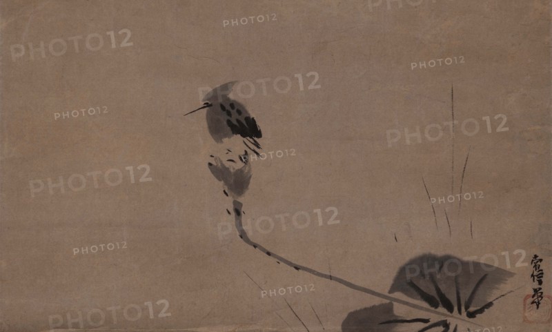 A kingfisher, 17th century. Creator: Tsunenobu; Kano (1636&ndash1713).