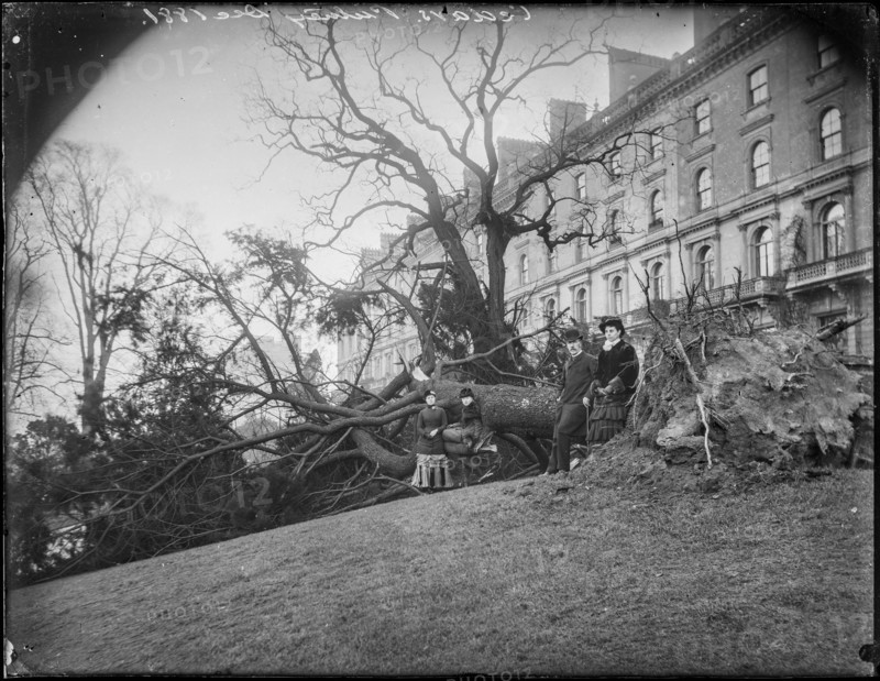 The Cedars, Ranelagh Road, Putney, Wandsworth, Greater London Authority, 1881. Creator: William O Field.