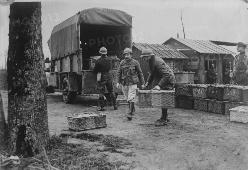 Belgian Army pigeons, between c1915 and c1920. Creator: Bain News Service.