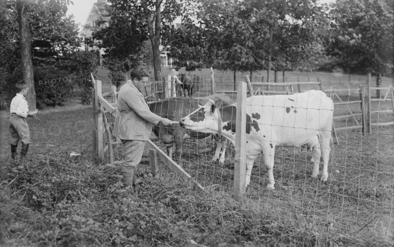 J. McCormack, between c1915 and c1920. Creator: Bain News Service.