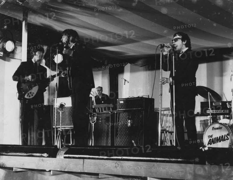 The Animals, Richmond Jazz Festival, London, 1965. Creator: Brian Foskett.