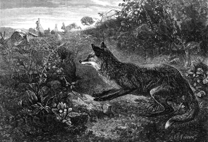 Gambols Disturbed, by G. B. Goddard, 1870. Creator: Horace Harral.