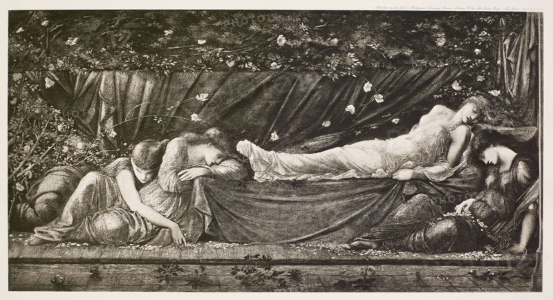 The Briar Rose Series - The Rose Bower/ The Sleeping Beauty (III), c1870s, (1900). Creator: Unknown.