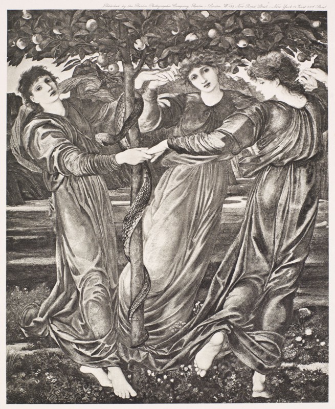 The Garden of the Hesperides, c1860s, (1900). Creator: Unknown.