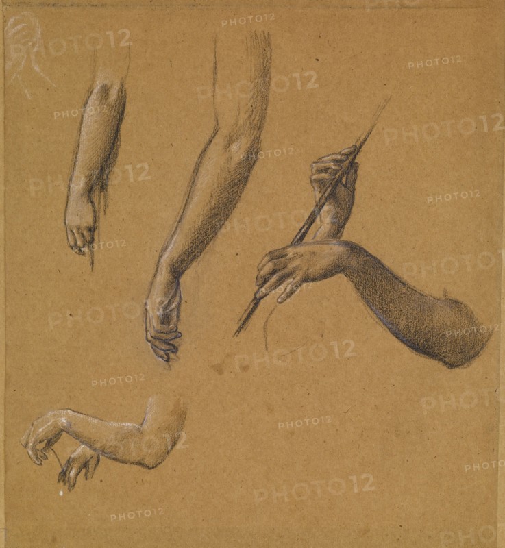 St George Series - Four Studies of Arms and Hands for 'The Return of St George and..., 1865-66. Creator: Sir Edward Coley Burne-Jones.