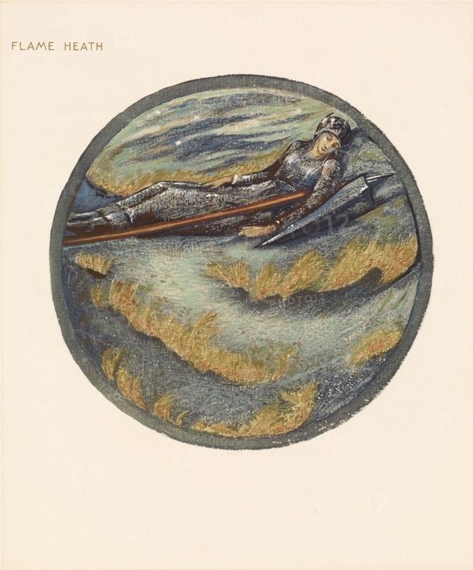 The Flower Book - Flame Heath, 1905. Creator: Sir Edward Coley Burne-Jones.