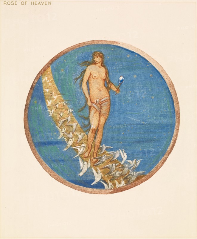 The Flower Book - Rose of Heaven, 1905. Creator: Sir Edward Coley Burne-Jones.
