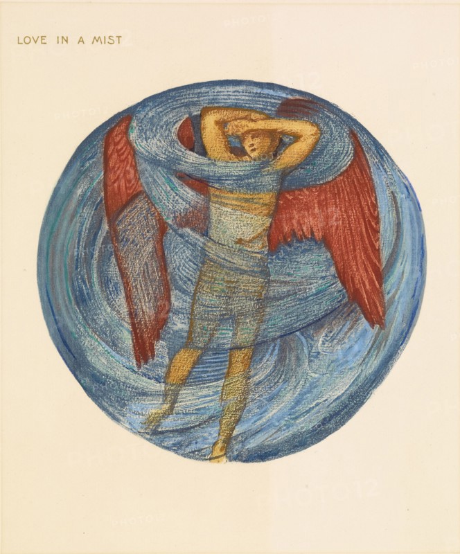 The Flower Book- Love in a Mist, 1905. Creator: Sir Edward Coley Burne-Jones.