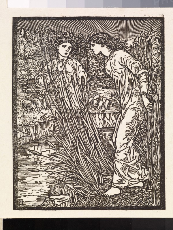 Cupid and Psyche - Psyche is set the Task of collecting the Golden Fleece from Venus' Flocks... Creator: Sir Edward Coley Burne-Jones.