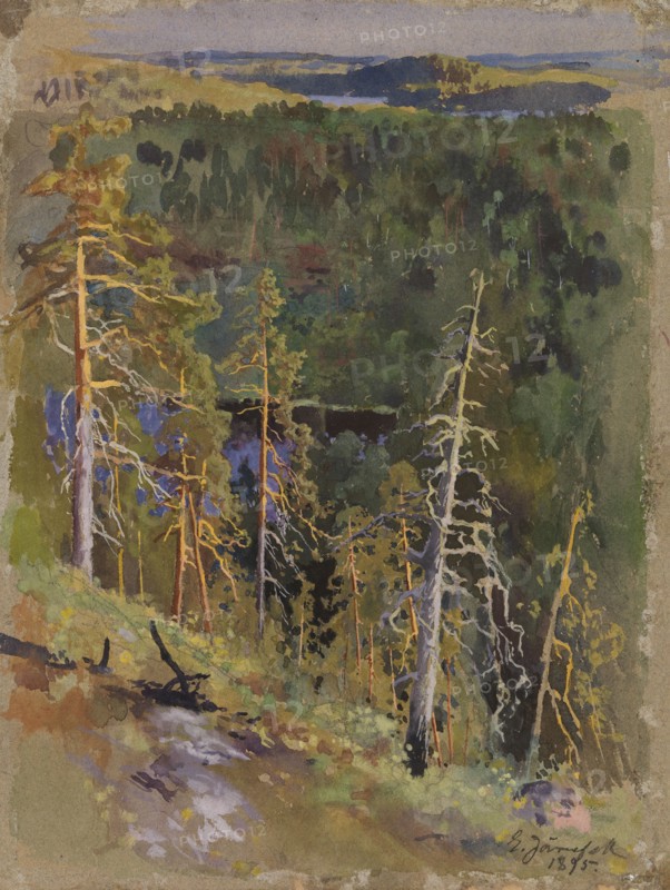 Forest Landscape, 1895. Creator: Eero Jarnefelt.