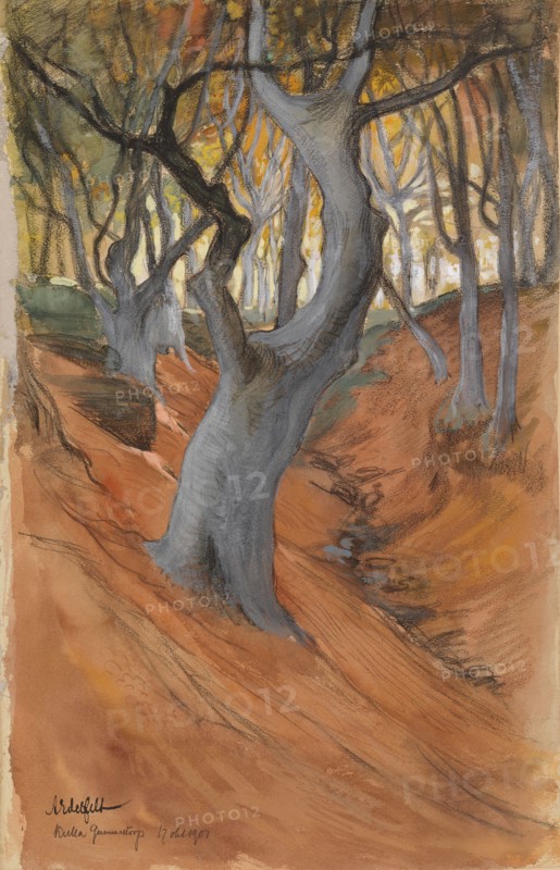 Beech Forest, 1901. Creator: Albert Edelfelt.