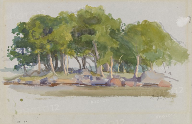 Wooded Island. Creator: Eero Jarnefelt.