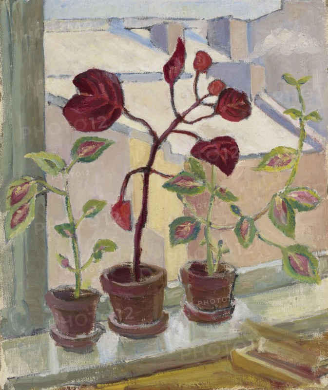 Red leaves III, 1930-1939. Creator: Aino von Boehm.
