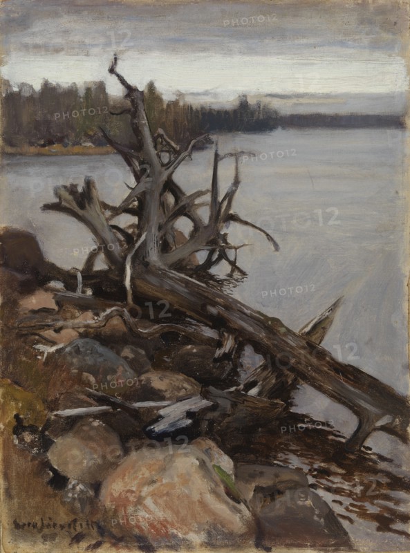 Dead Pine in the Water, 1898. Creator: Eero Jarnefelt.