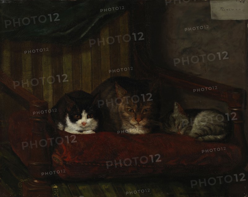 Cat with Kittens, 1863. Creator: Adolf von Becker.