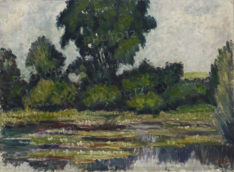 Water lilies, 1928. Creator: Alfred William Finch.