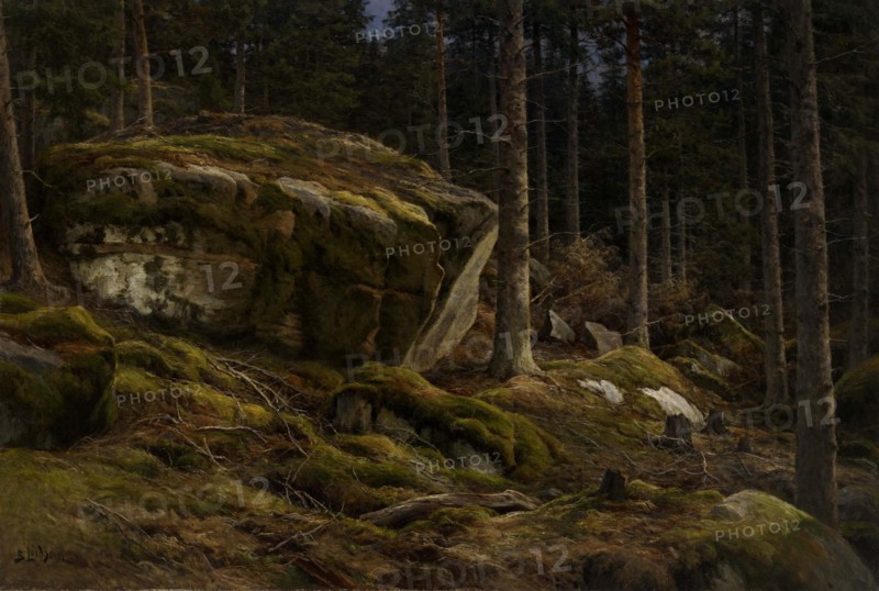 Woods Landscape, 1903-1904. Creator: Berndt Lindholm.